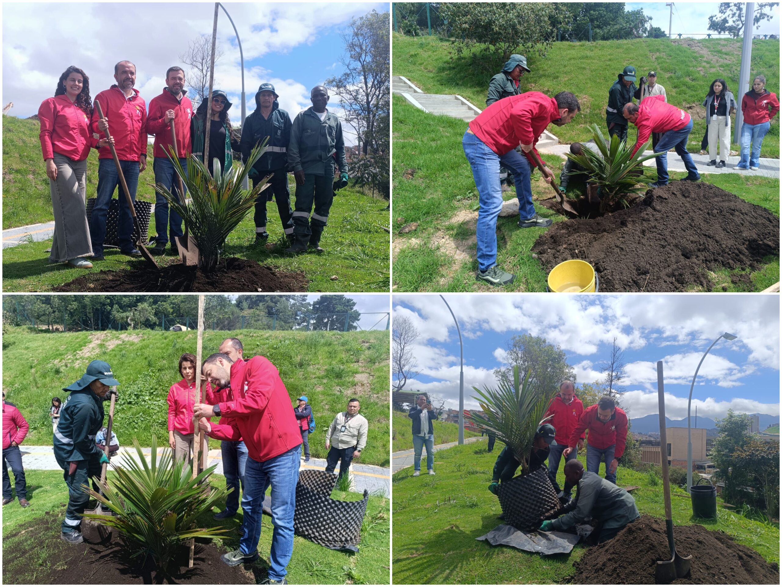 Historias del verde urbano: ¡83 nuevos pulmones verdes en el sur de Bogotá!