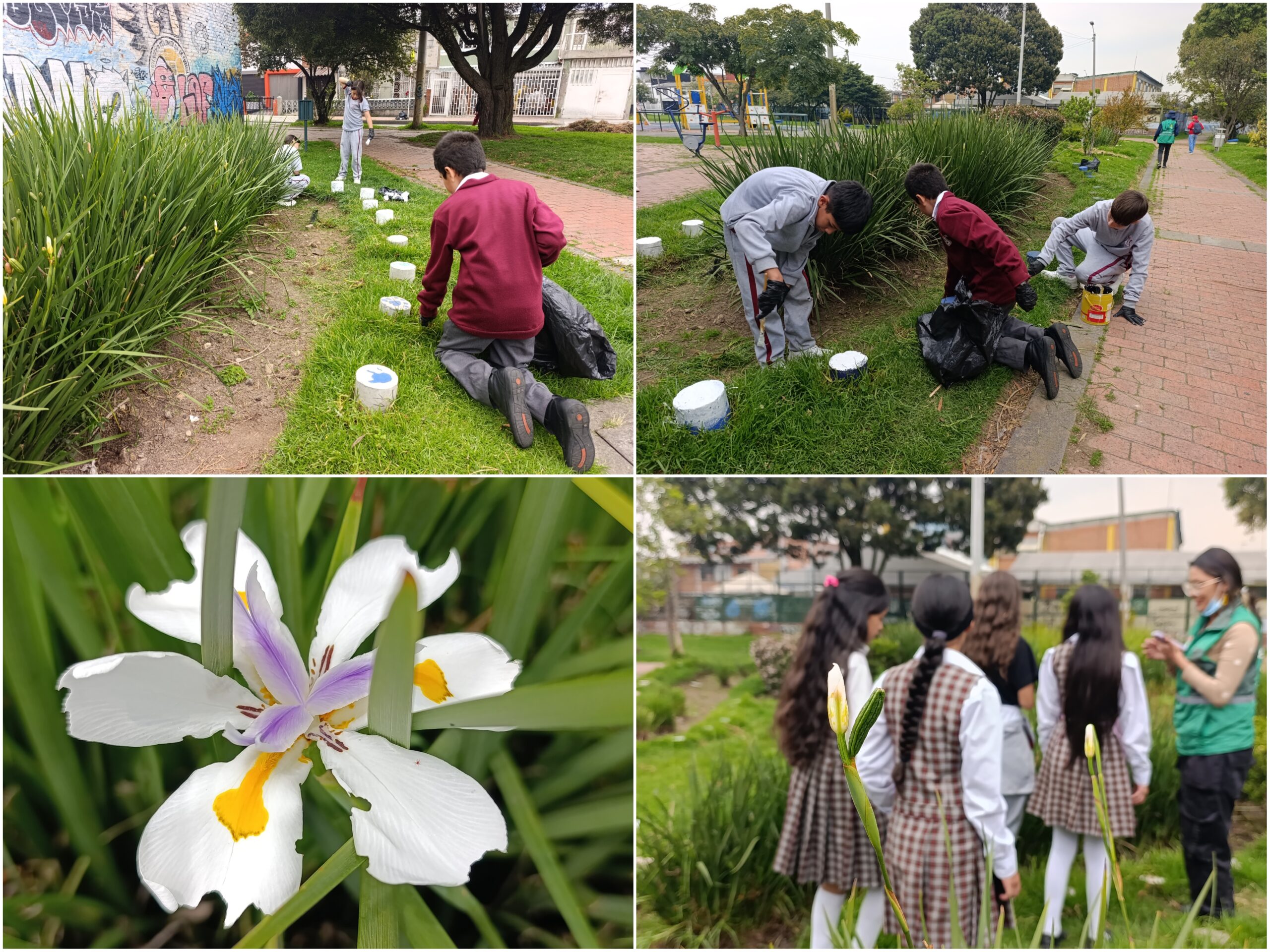 Historias del verde urbano: Los pequeños padrinos de la ‘serpiente jardinera’ del Sosiego Historias del verde urbano: Los pequeños padrinos de la ‘serpiente jardinera’ del Sosiego