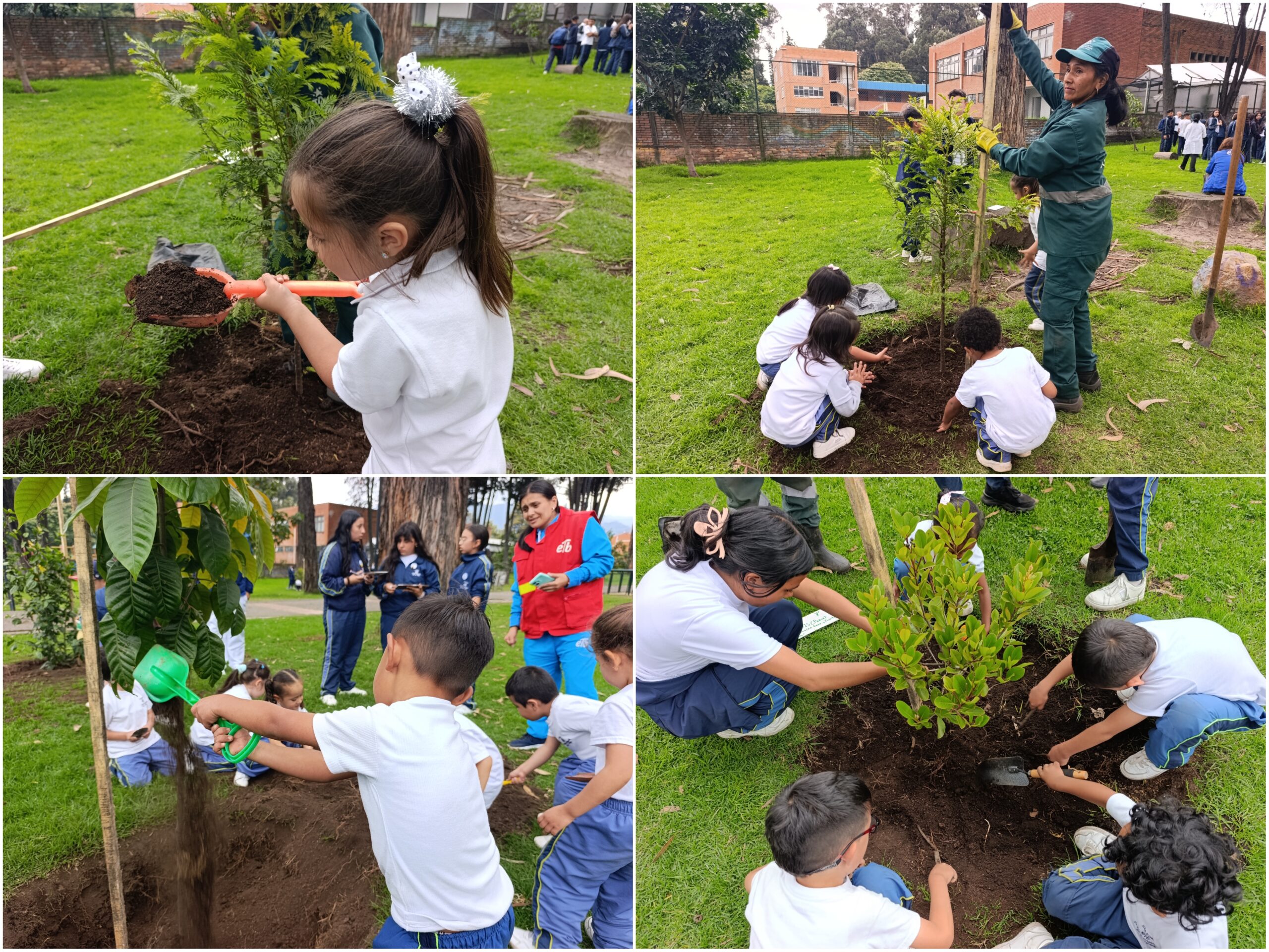 Historias del verde urbano: Una semana para homenajear a los bosques de Bogotá Historias del verde urbano: Una semana para homenajear a los bosques de Bogotá