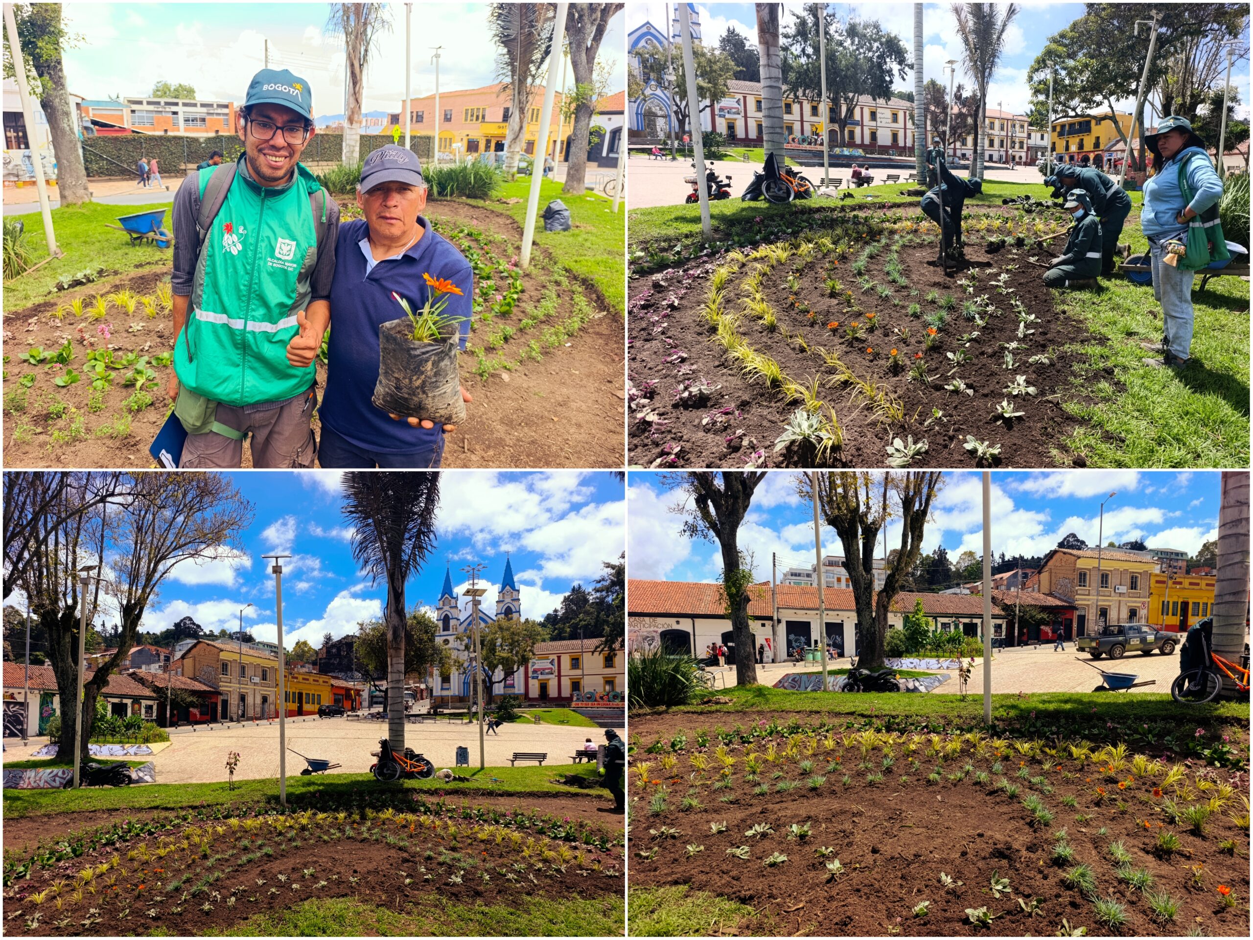 Historias del verde urbano: El arcoíris floral de la Plaza Fundacional de Suba