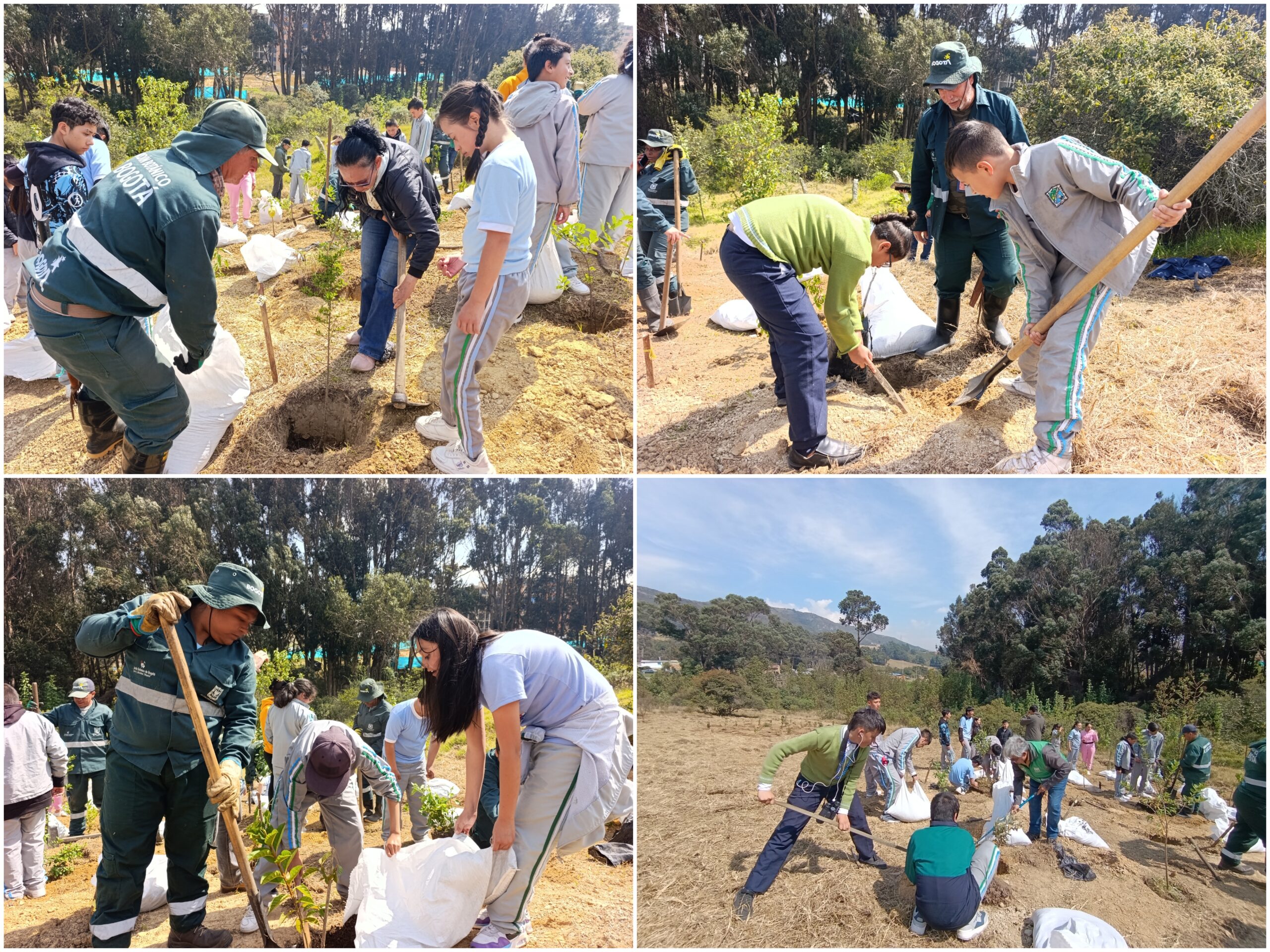 Historias del verde urbano: Homenaje al agua en el Parque Arqueológico y del Patrimonio Cultural de Usme