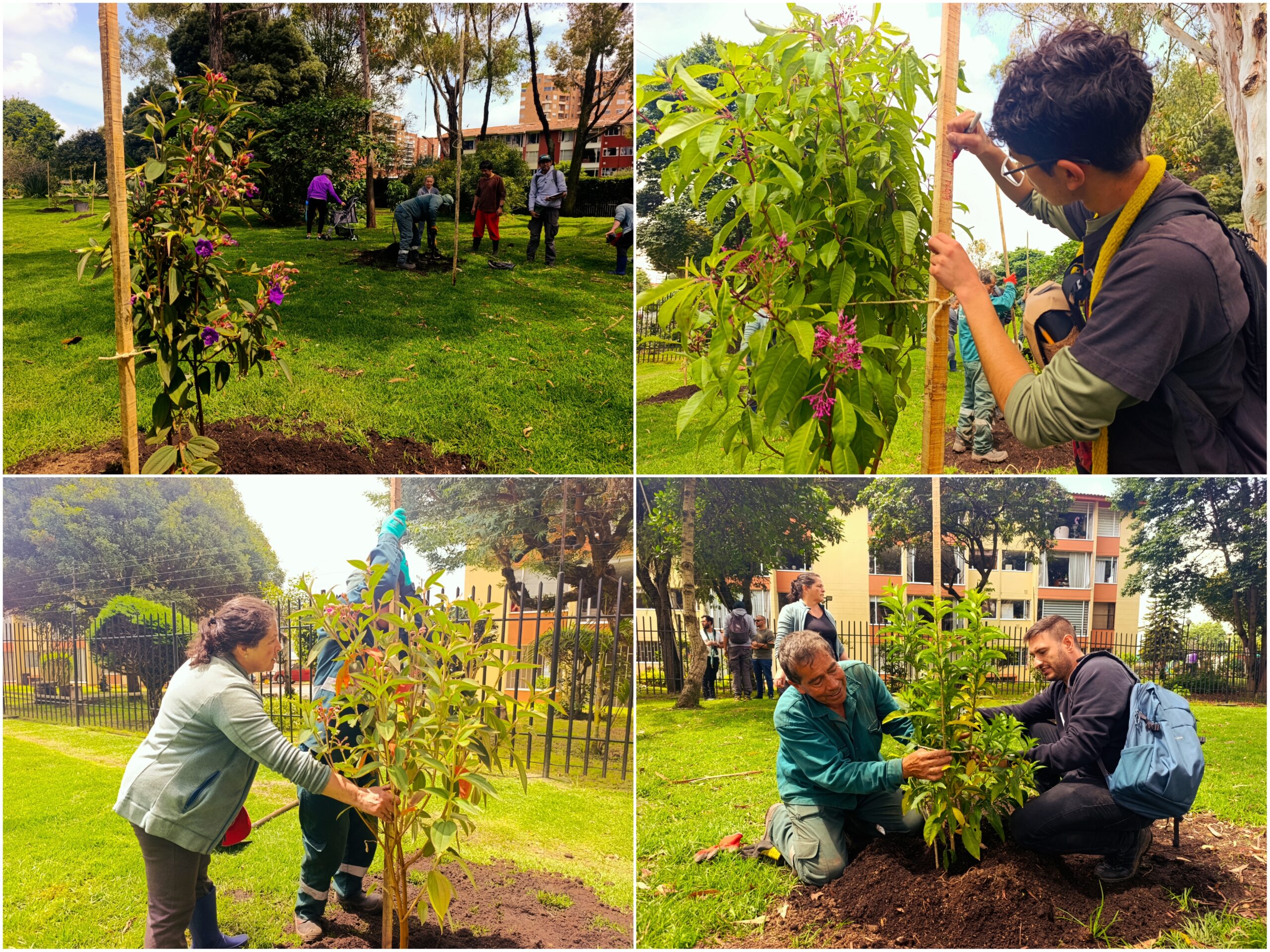 Historias del verde urbano: ¡Fiesta verde con los amigos del bosque Santa Helena!