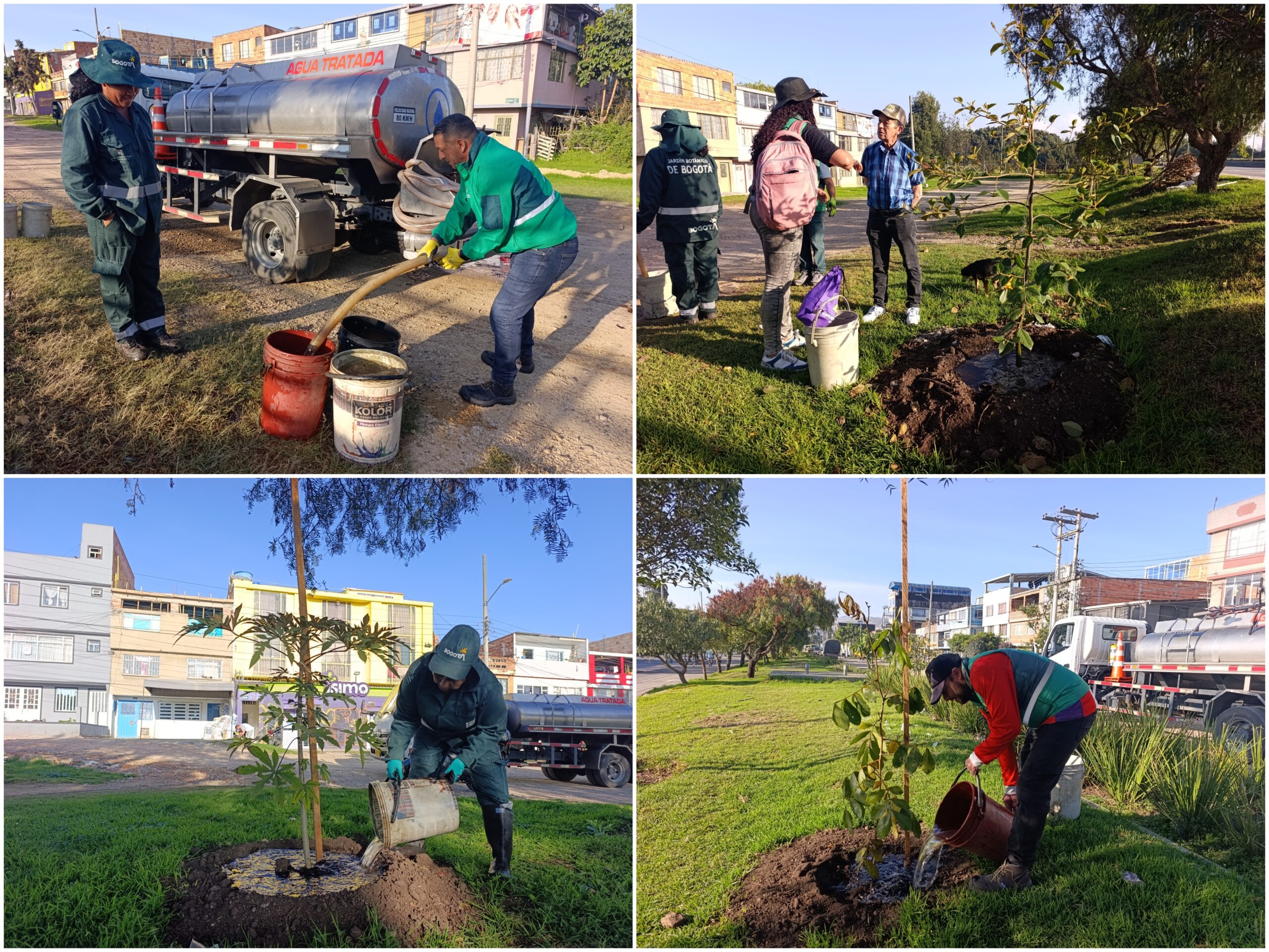 Historias del verde urbano: El despertar verde del Olarte