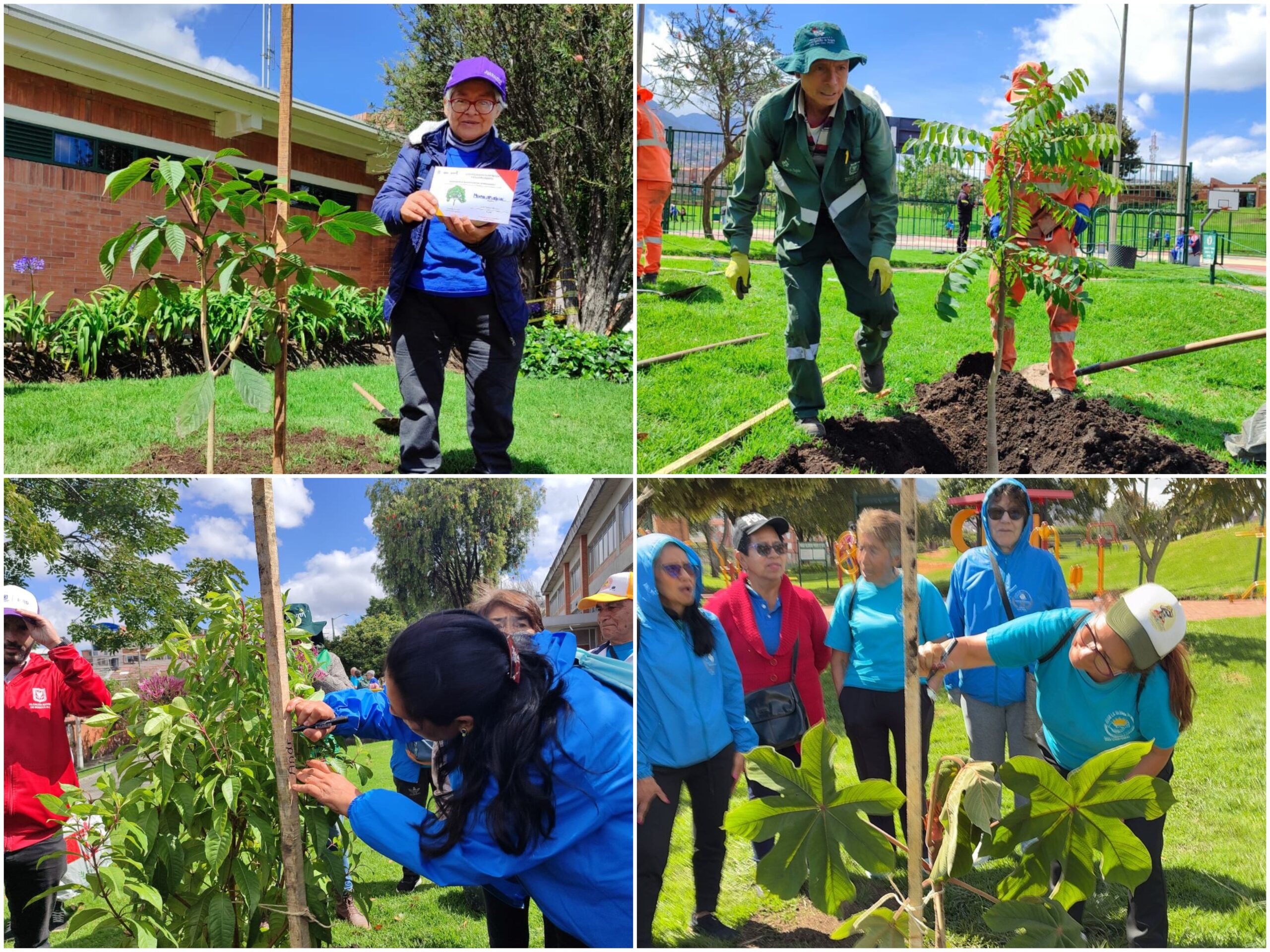 Historias del verde urbano: ¡83 nuevos pulmones verdes en el sur de Bogotá!