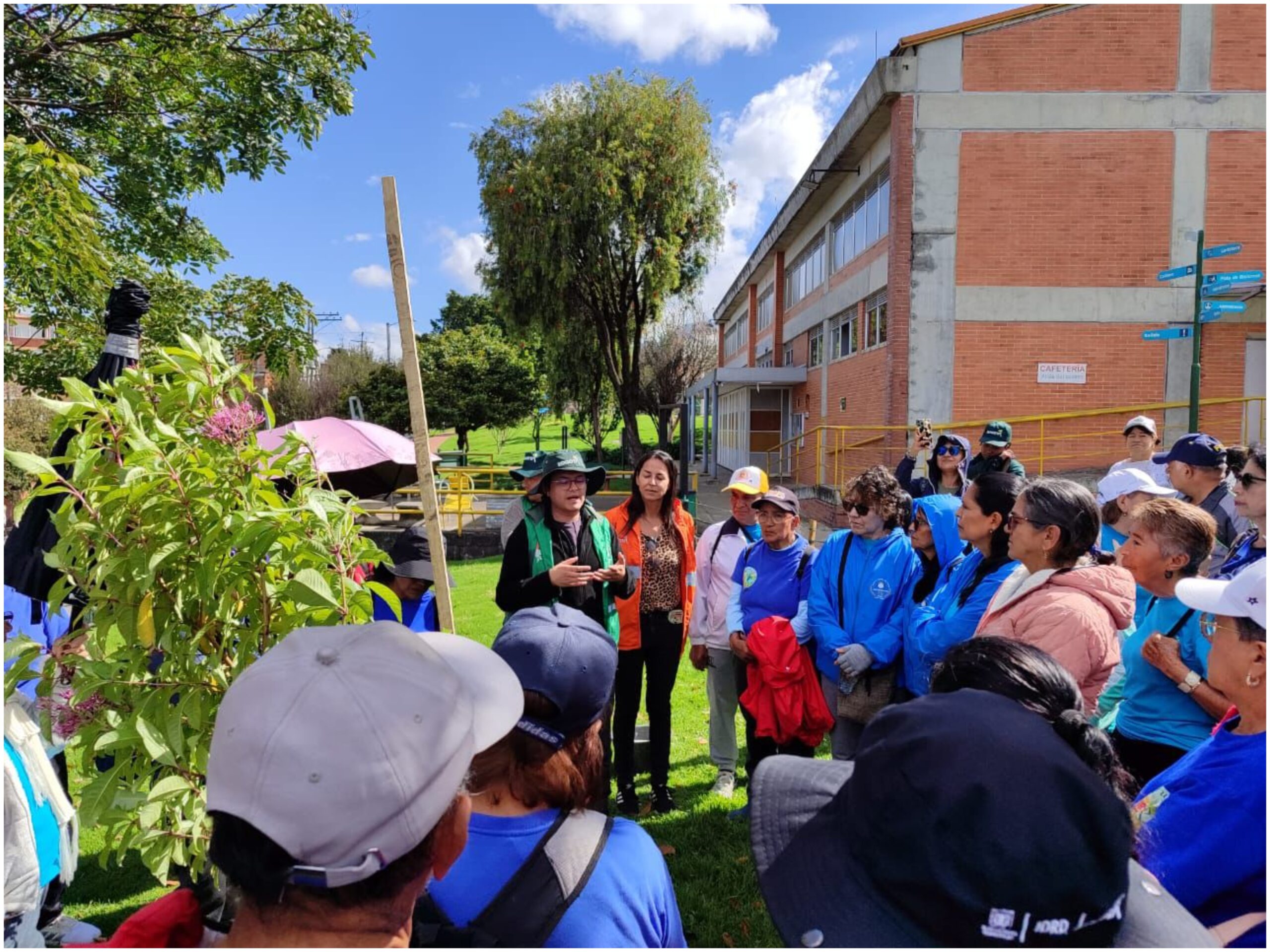 Historias del verde urbano: ¡83 nuevos pulmones verdes en el sur de Bogotá!