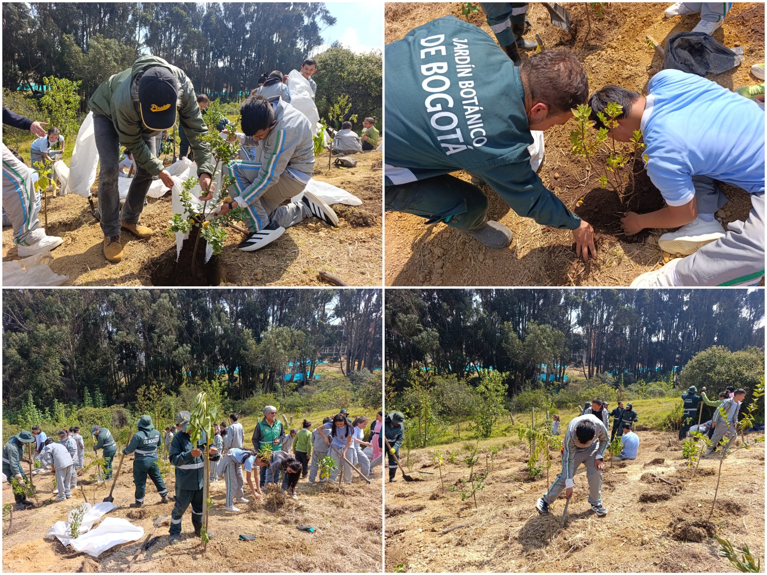 Historias del verde urbano: Homenaje al agua en el Parque Arqueológico y del Patrimonio Cultural de Usme