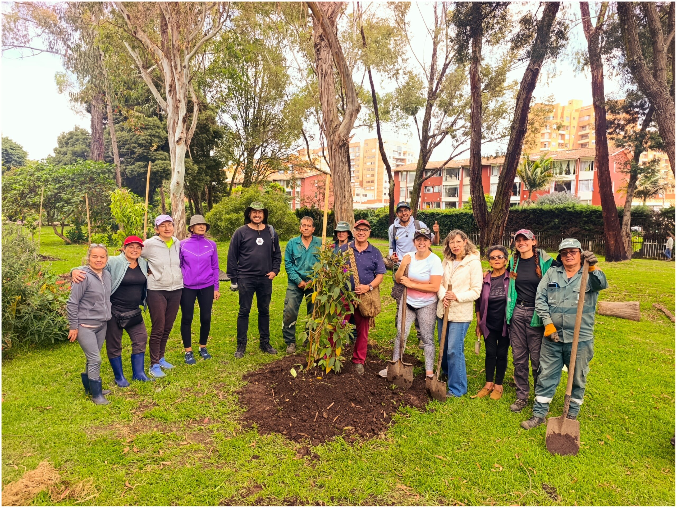 Historias del verde urbano: ¡Fiesta verde con los amigos del bosque Santa Helena!