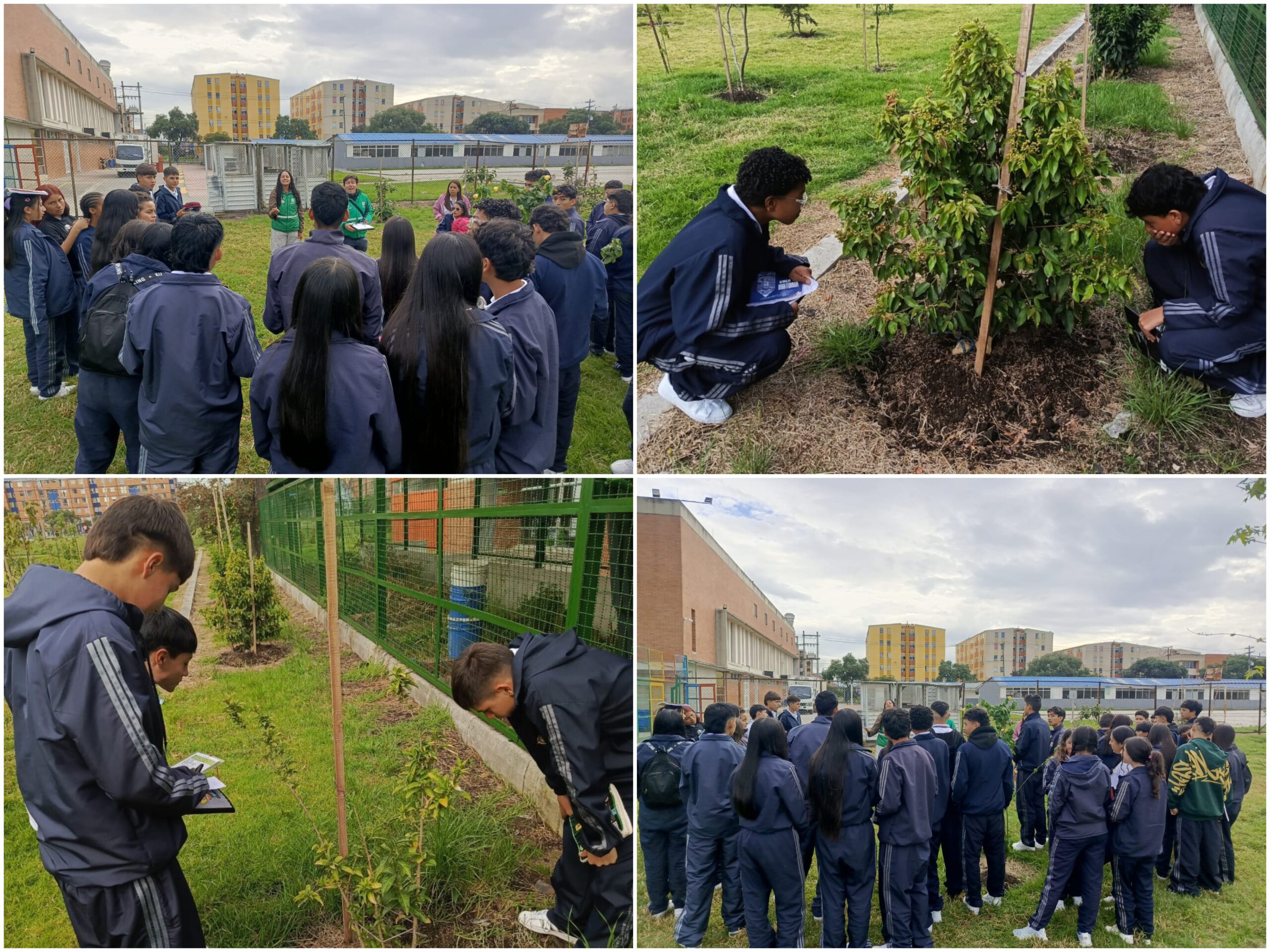 Historias del verde urbano: ¡83 nuevos pulmones verdes en el sur de Bogotá!