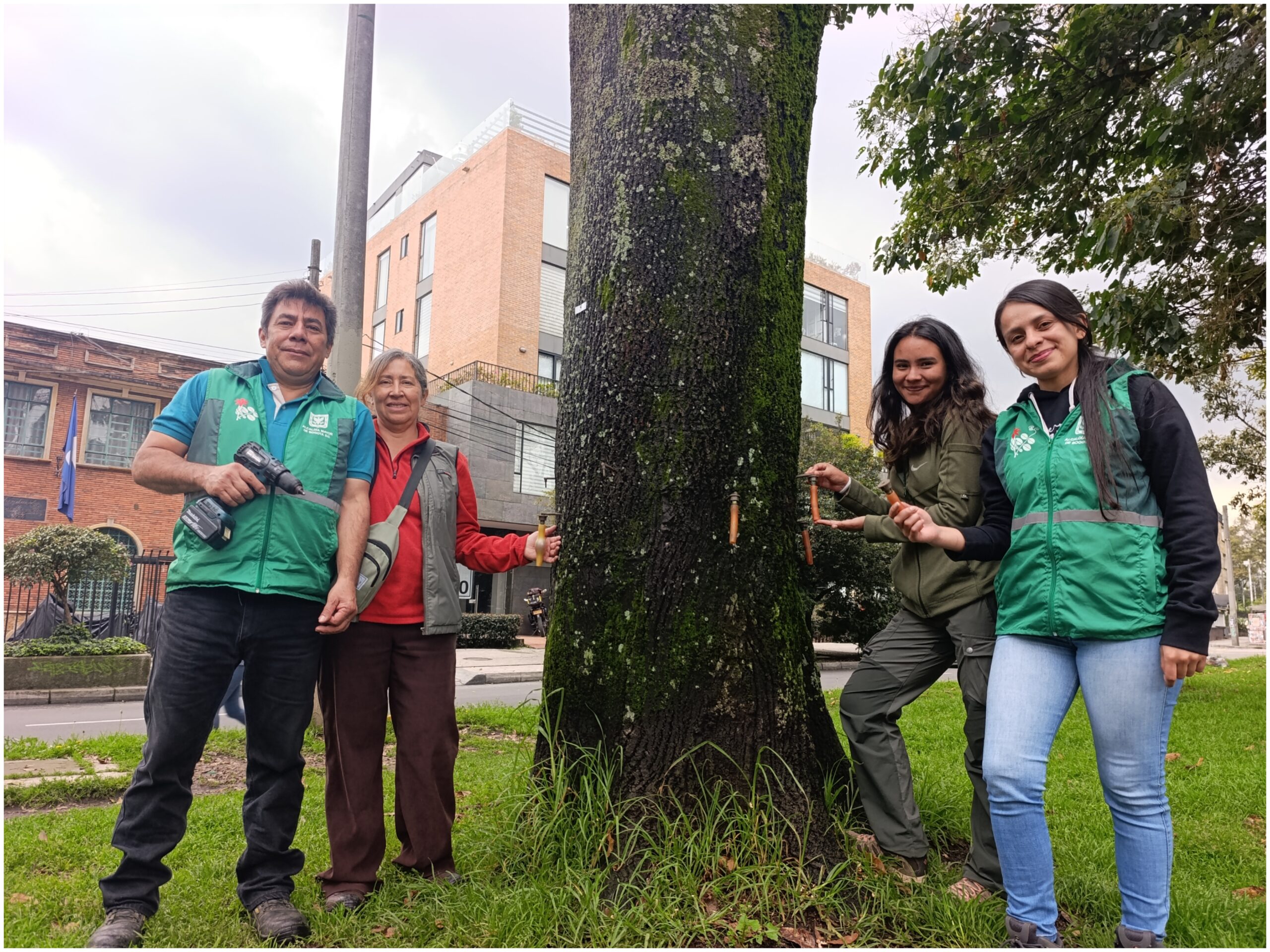 Historias del verde urbano: Una clase de endoterapia en los árboles más antiguos del Parkway