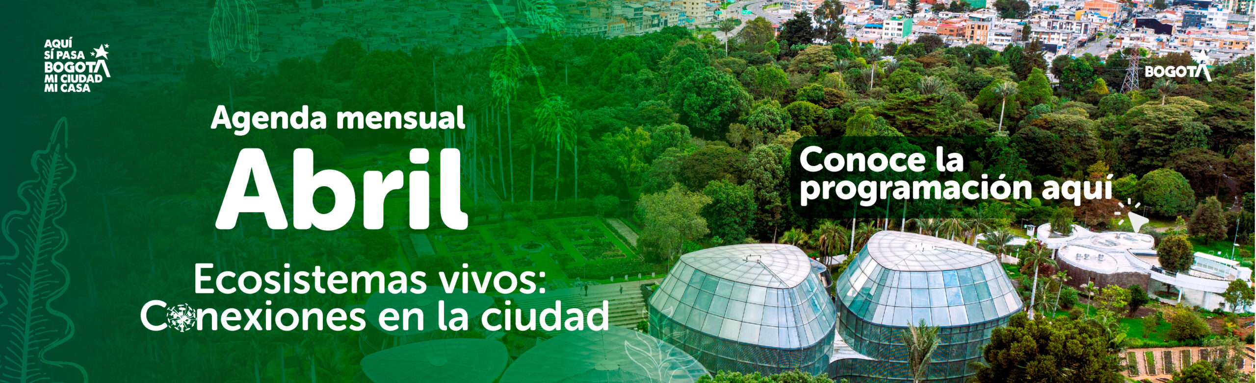 Agenda cultural 2026