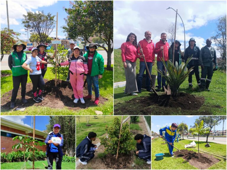 El Jardín Botánico José Celestino Mutis continúa fortaleciendo el arbolado urbano de la ciudad a través de plantaciones, replantes y mantenimientos.