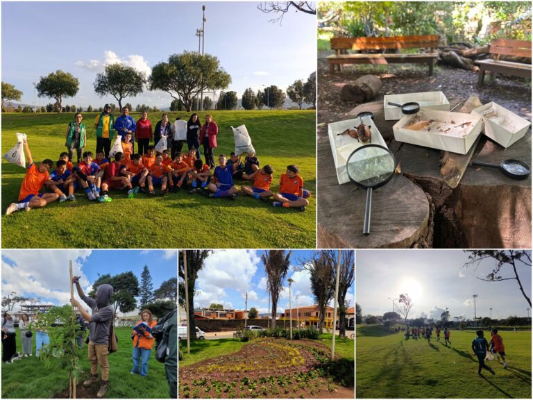 Historias del verde urbano: Plogging, insectos, jardines y árboles: protagonistas en la Semana Internacional de los Bosques