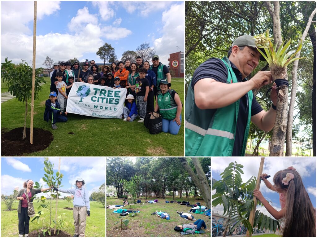 La fiesta botánica de Bogotá que celebró el Día Internacional de los Bosques