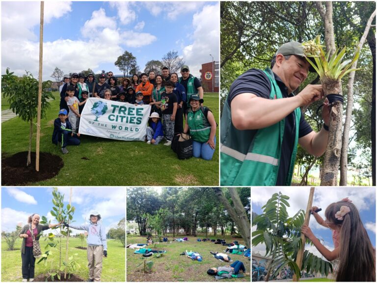 La fiesta botánica de Bogotá que celebró el Día Internacional de los Bosques