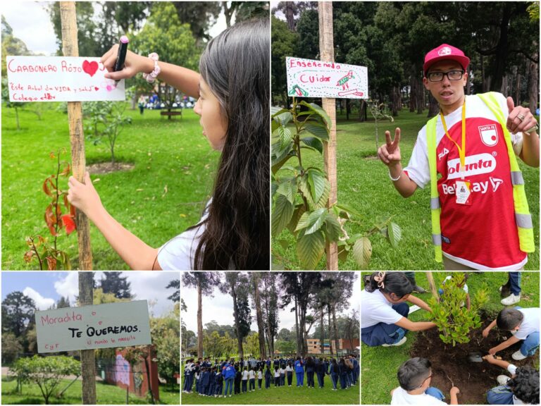Historias del verde urbano: San Carlos: un bosque con cientos de ‘padrinos patojos’