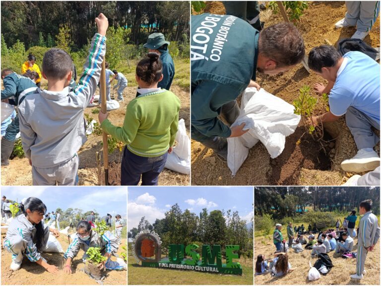 Historias del verde urbano: Homenaje al agua en el Parque Arqueológico y del Patrimonio Cultural de Usme