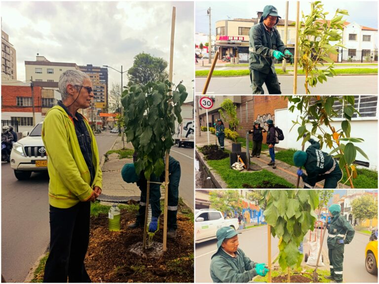 Los nuevos habitantes verdes de la avenida Teusaquillo