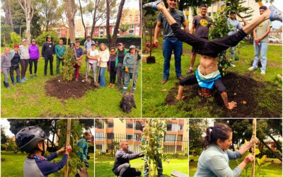 Historias del verde urbano: ¡Fiesta verde con los amigos del bosque Santa Helena!