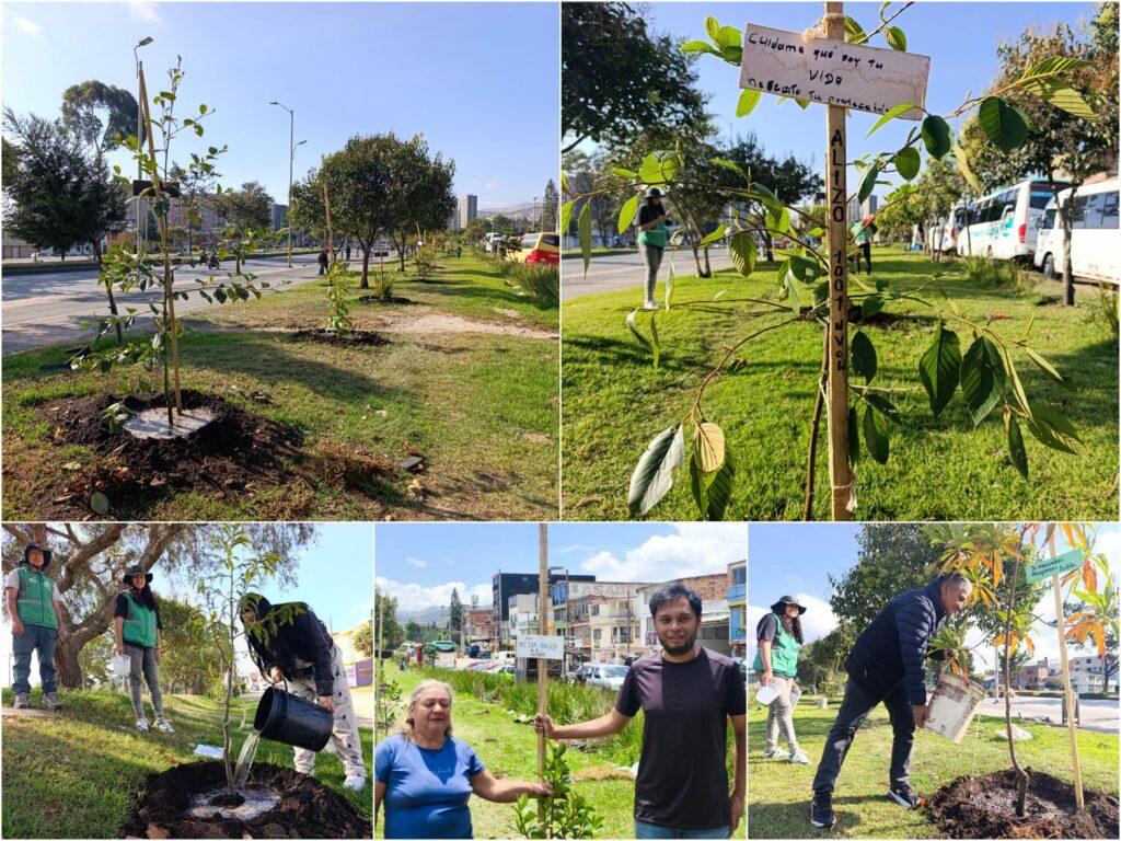 Historias del verde urbano: El despertar verde del Olarte