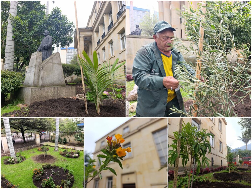 Historias del verde urbano: La transformación verde de la Academia Colombiana de la Lengua