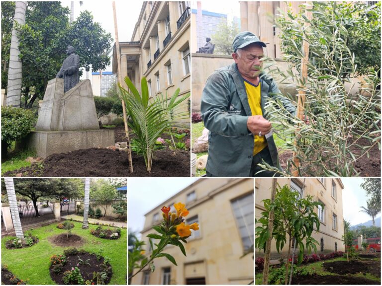 Historias del verde urbano: La transformación verde de la Academia Colombiana de la Lengua