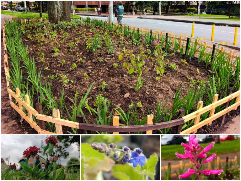 Historias del verde urbano: Los nuevos colores del Parkway
