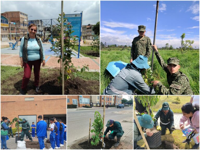 Historias del verde urbano: ¡Dos semanas rebosantes de verde!