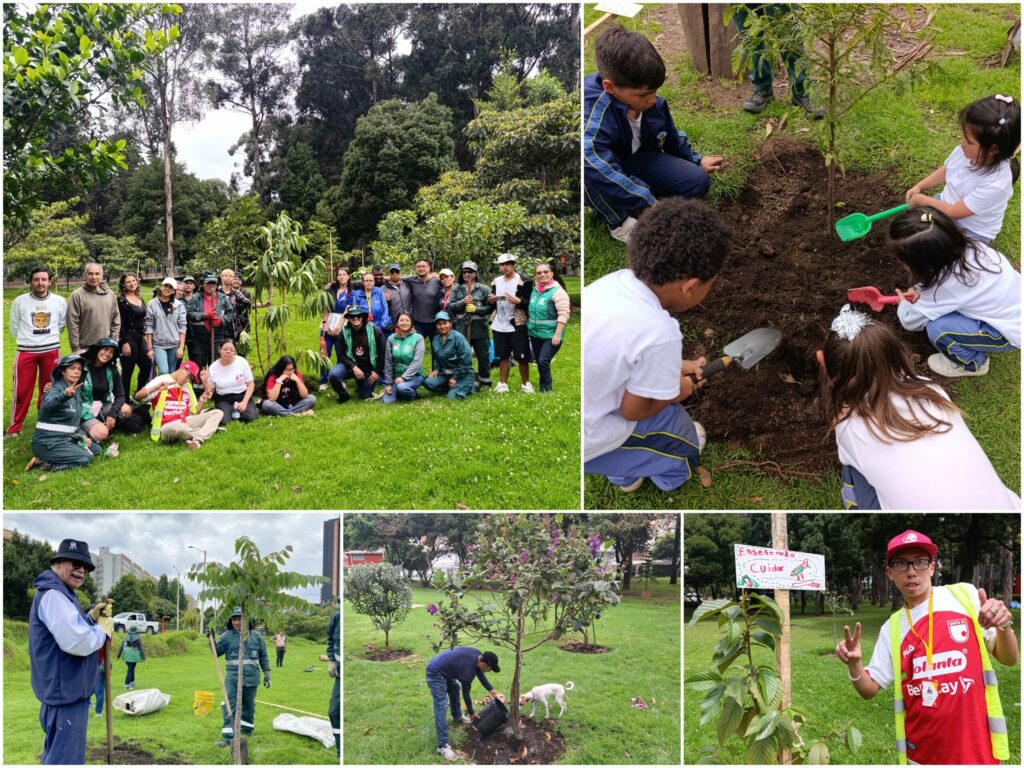 Historias del verde urbano: Una semana para homenajear a los bosques de Bogotá