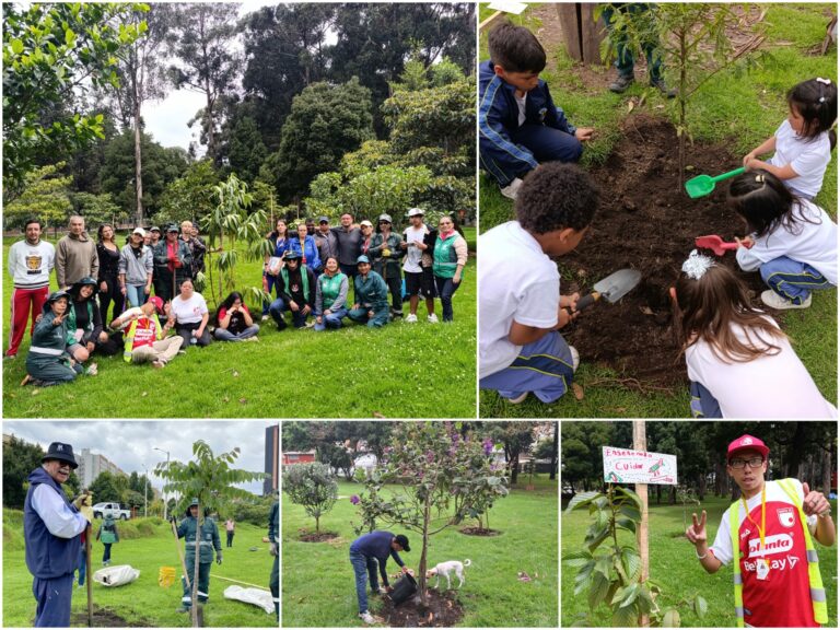 Historias del verde urbano: Una semana para homenajear a los bosques de Bogotá