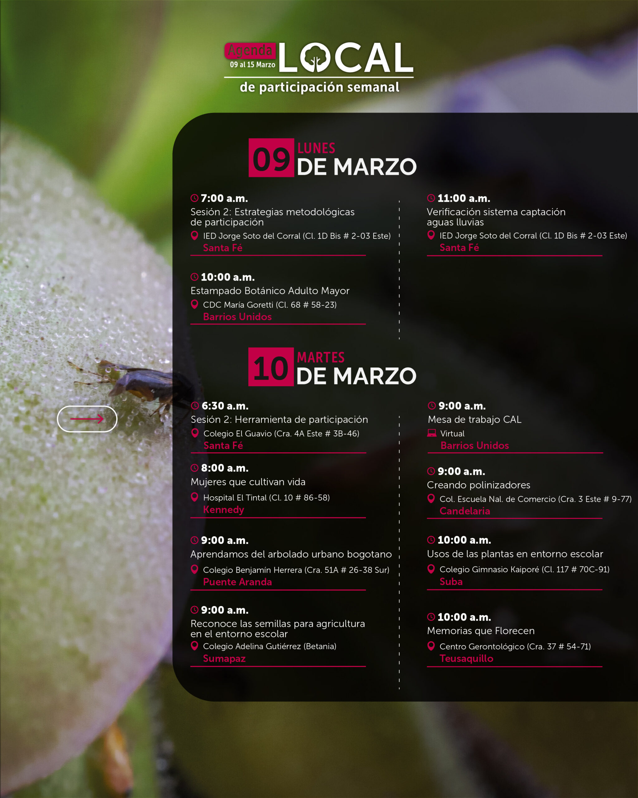 Semana 9 a 15 de marzo-02