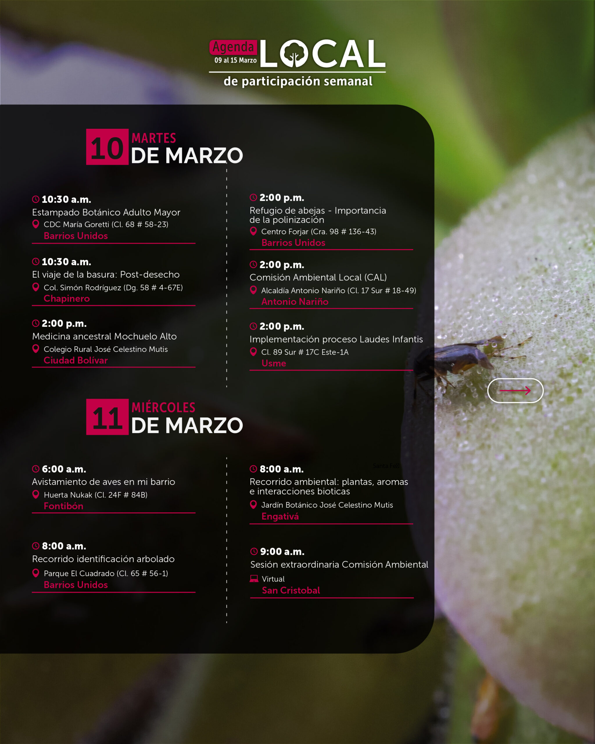 Semana 9 a 15 de marzo-03