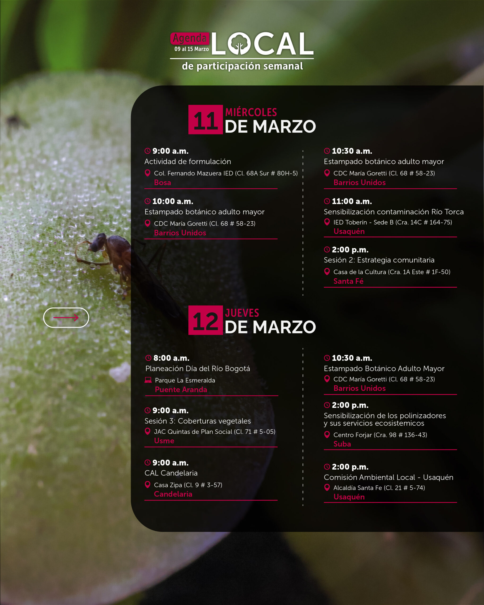 Semana 9 a 15 de marzo-04