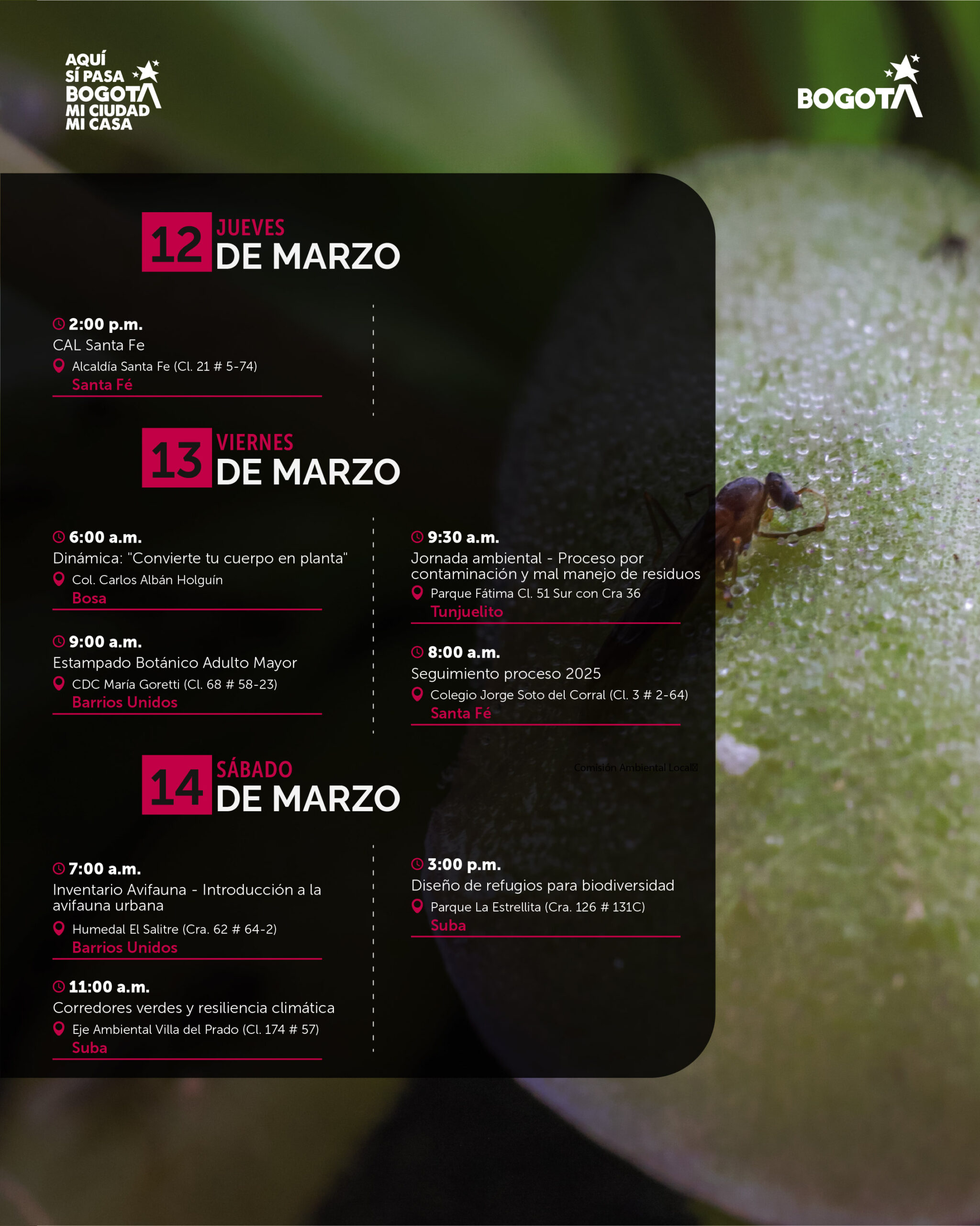 Semana 9 a 15 de marzo-05