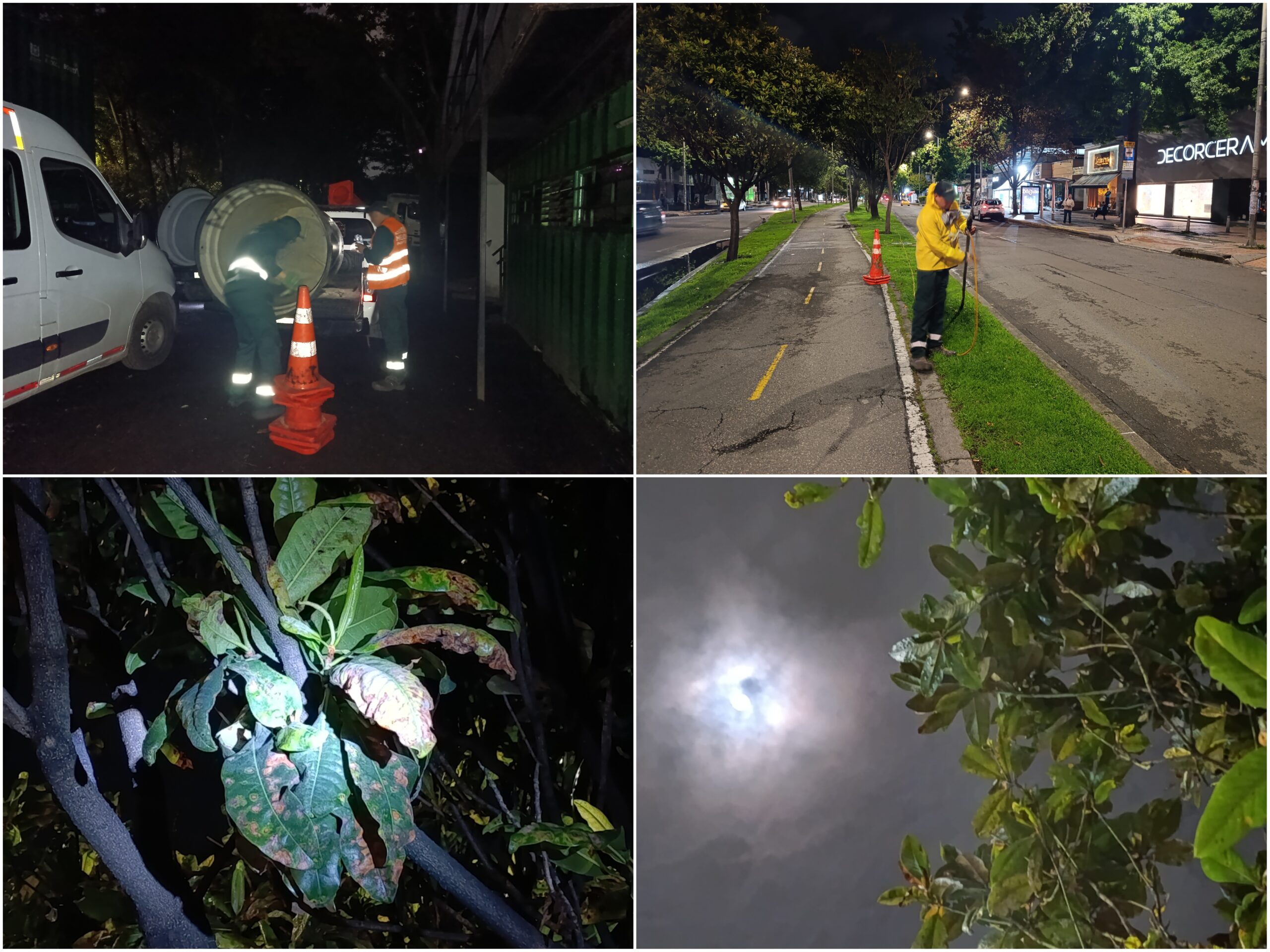 Historias del verde urbano: Crónica de una aspersión foliar nocturna en la avenida 19