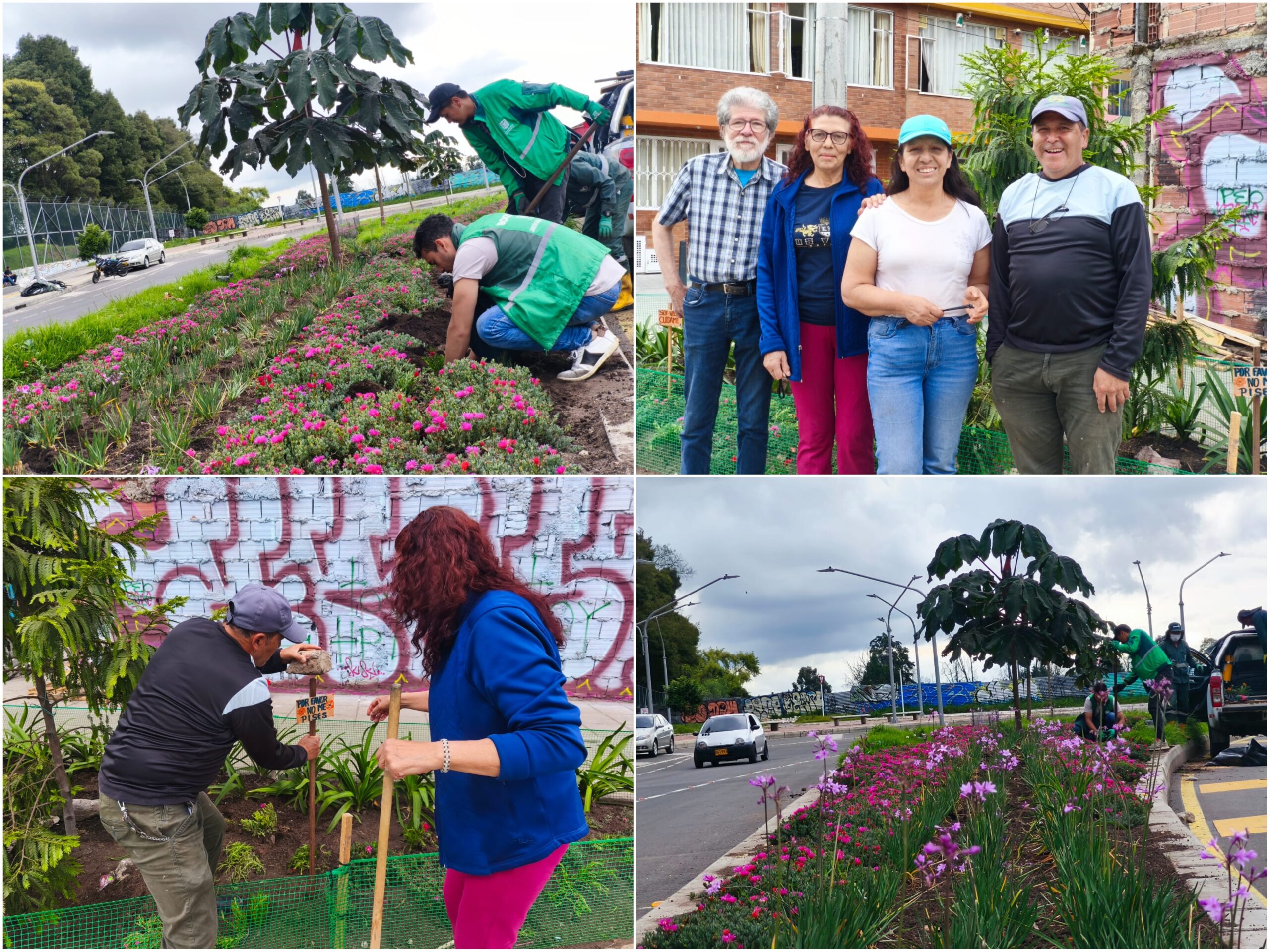 Historias del verde urbano: Las madrinas y padrinos de las nuevas jardineras de la avenida Mutis