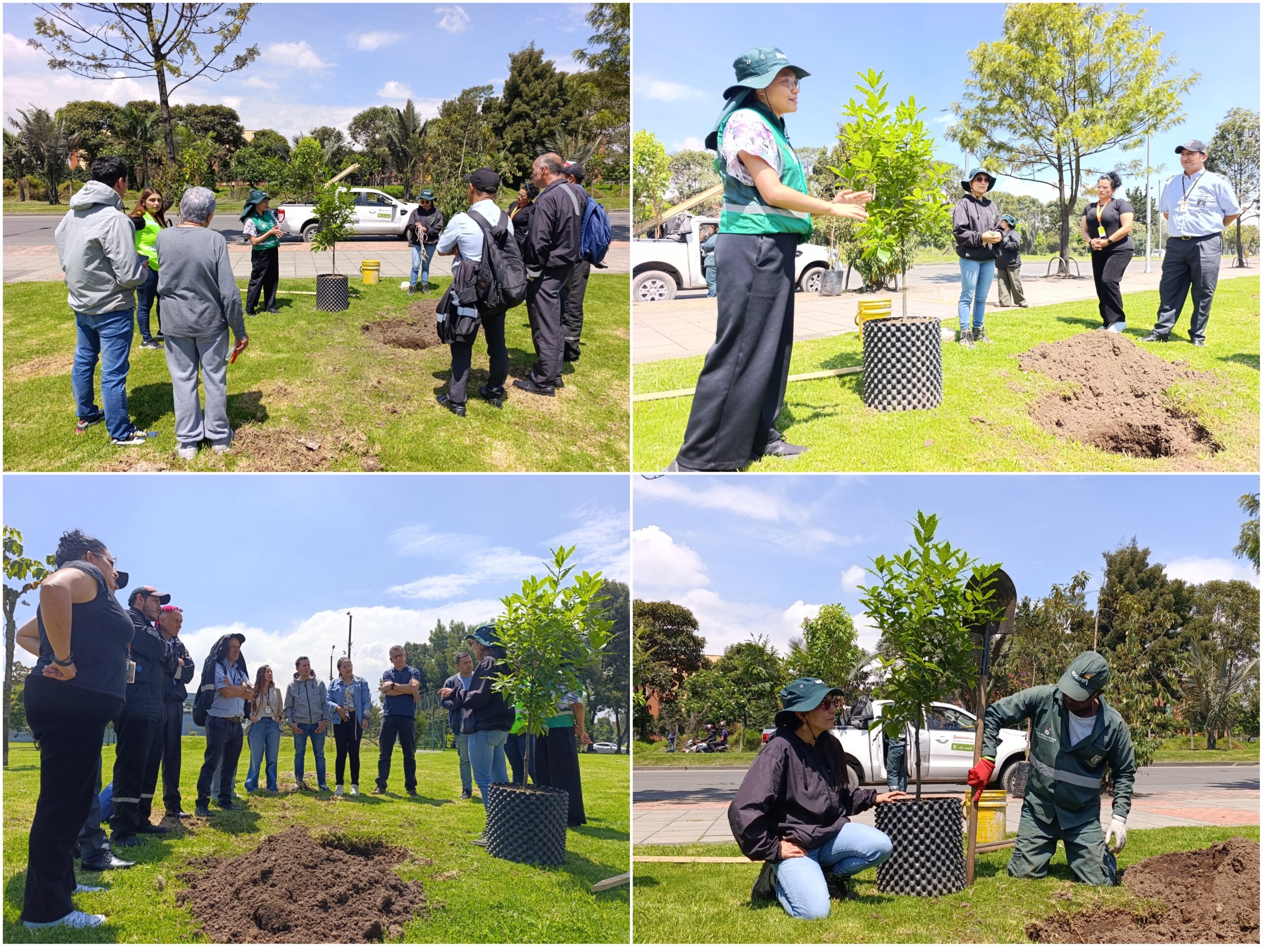 Historias del verde urbano: El vecino del humedal Capellanía recibió 26 árboles y arbustos