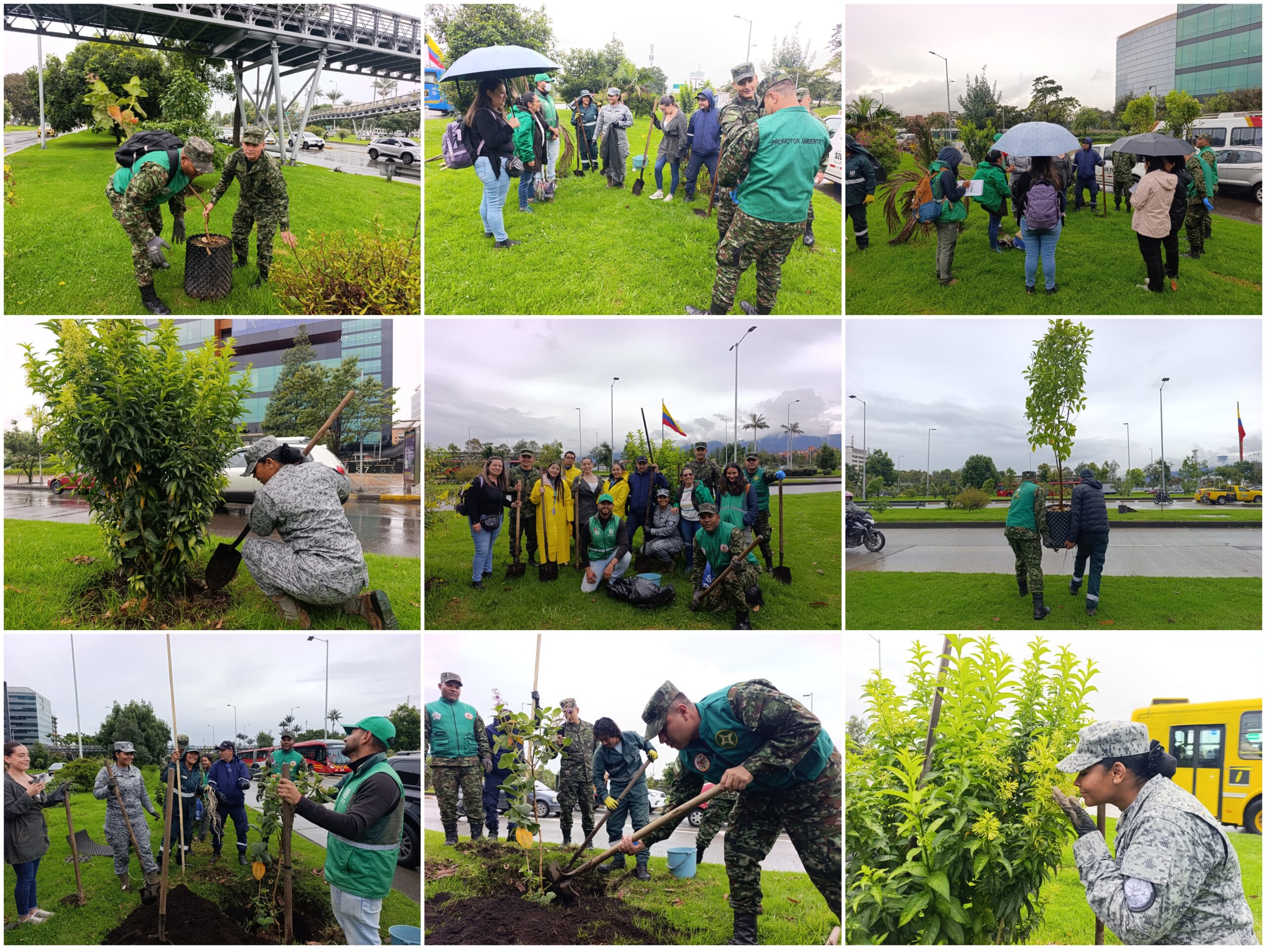 Historias del verde urbano: El festejo verde que le regaló a Bogotá más de 300 árboles y arbustos Historias del verde urbano: El festejo verde que le regaló a Bogotá más de 300 árboles y arbustos