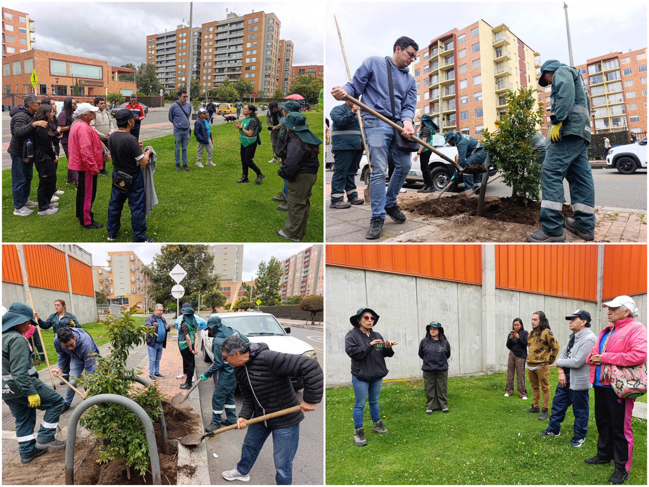 Historias del verde urbano: ¡El verde renace en Hayuelos!