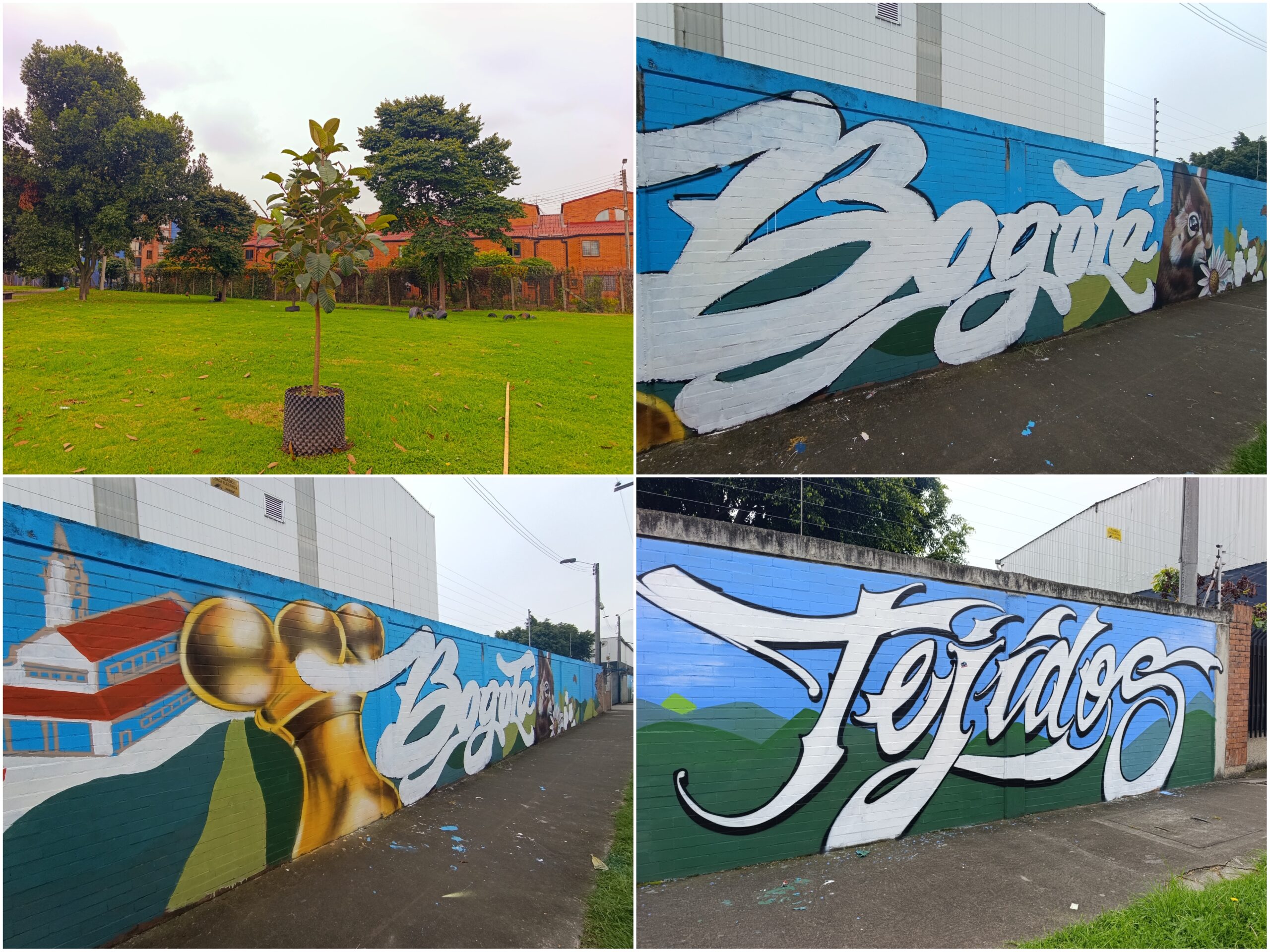 Historias del verde urbano: ¡La Cofradía tejió un nuevo verde!