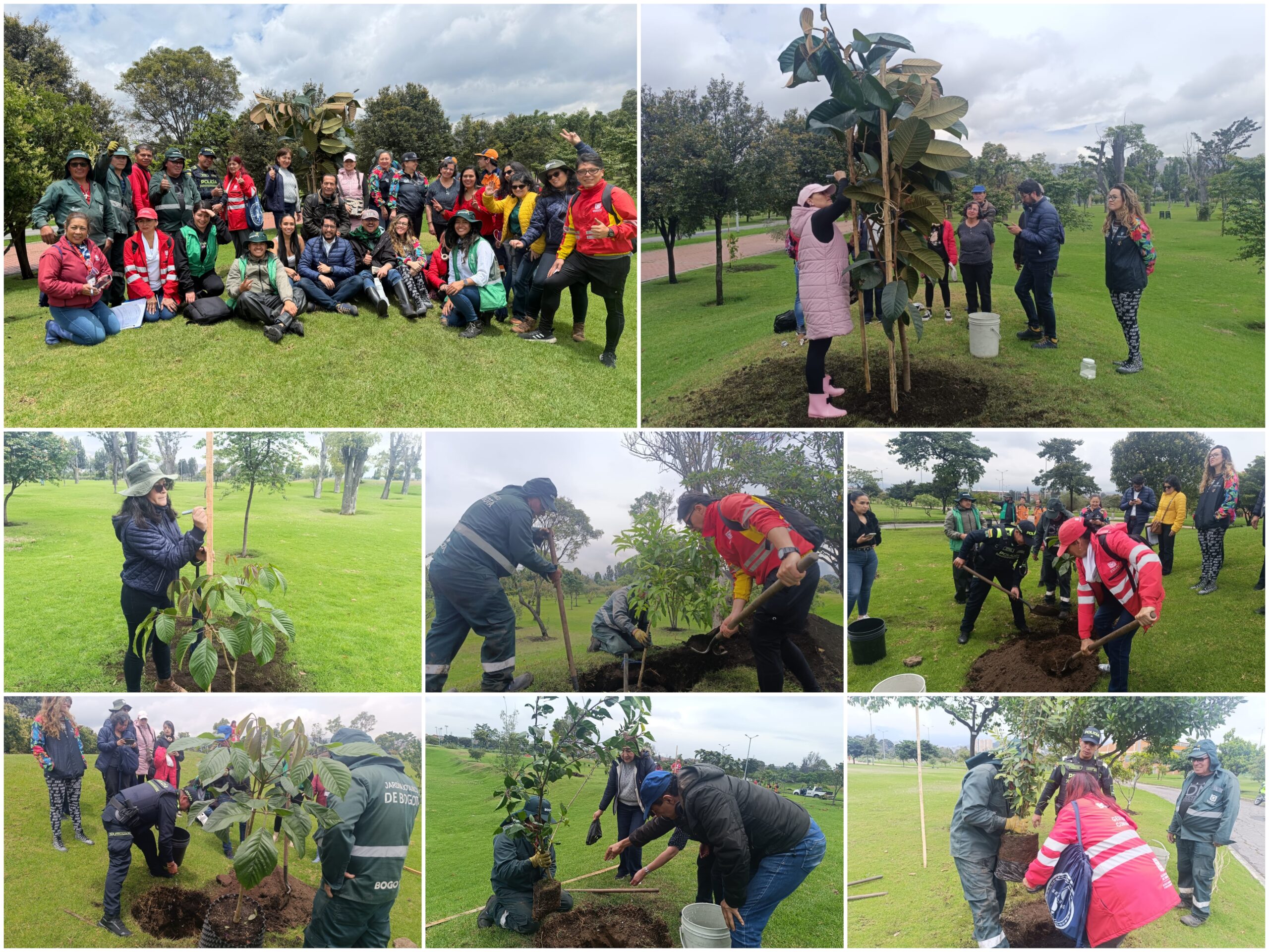 Historias del verde urbano: El festejo verde que le regaló a Bogotá más de 300 árboles y arbustos Historias del verde urbano: El festejo verde que le regaló a Bogotá más de 300 árboles y arbustos