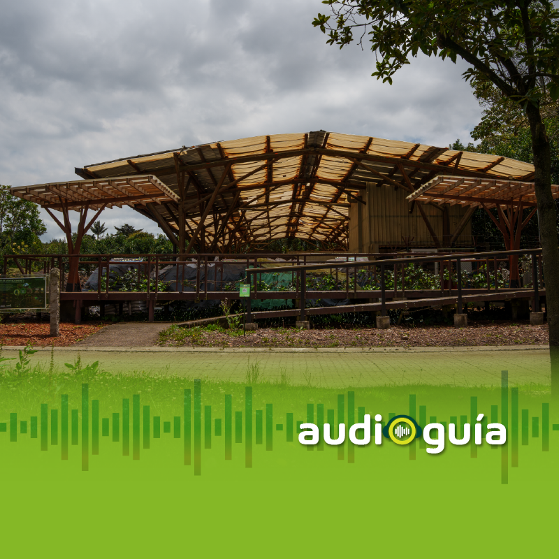 Audioguía parada 11 Área de aprovechamiento