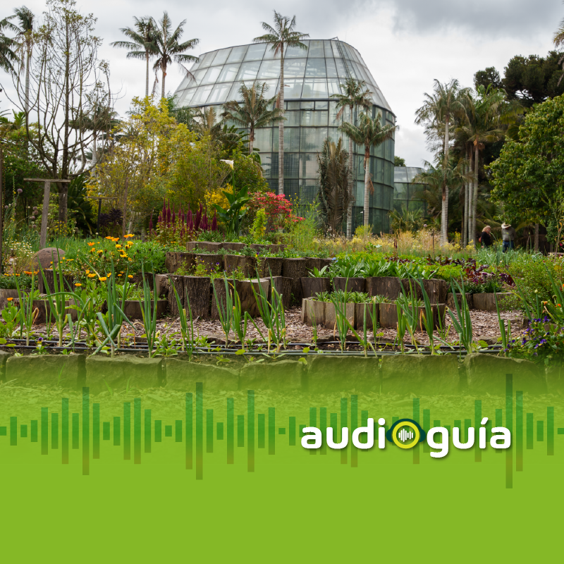 Audioguía parada 12 Huerta madre