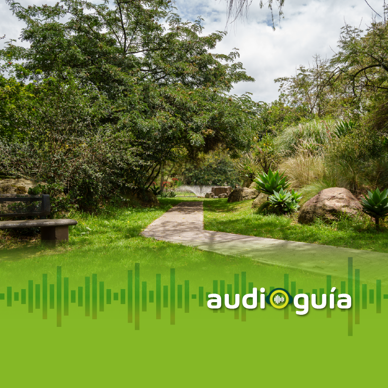 Audioguía parada 14 Enclave seco y humedal andino