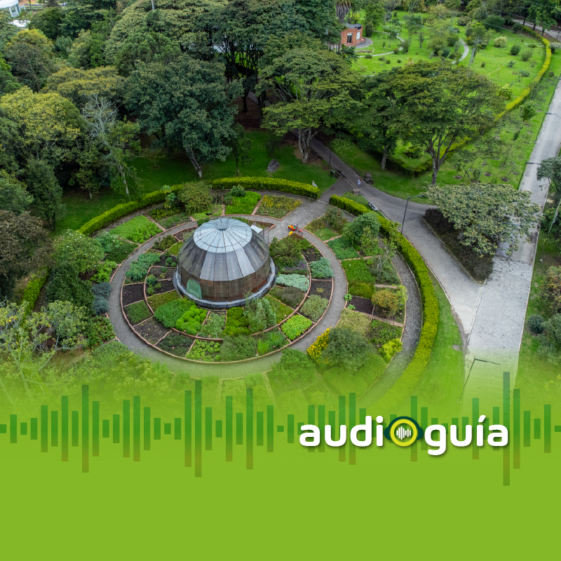 Audioguía parada 15 La huerta medicinal
