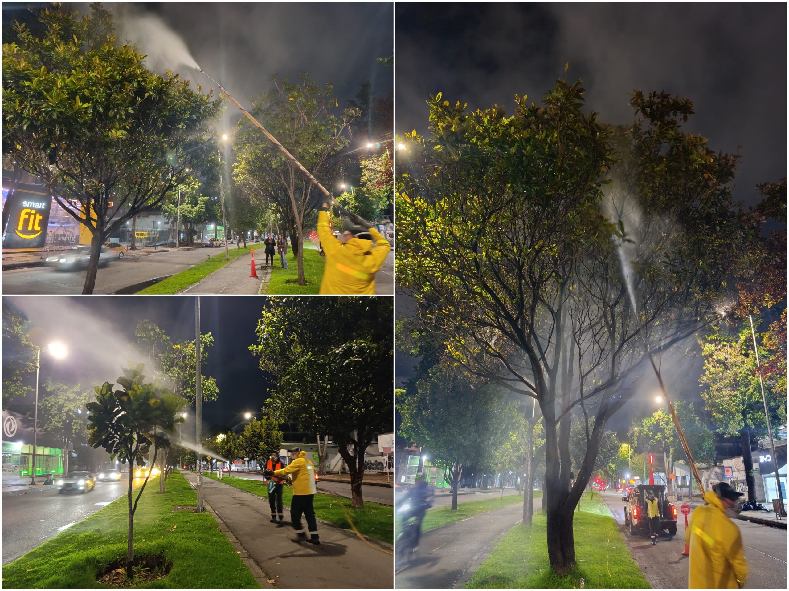 Historias del verde urbano: Crónica de una aspersión foliar nocturna en la avenida 19
