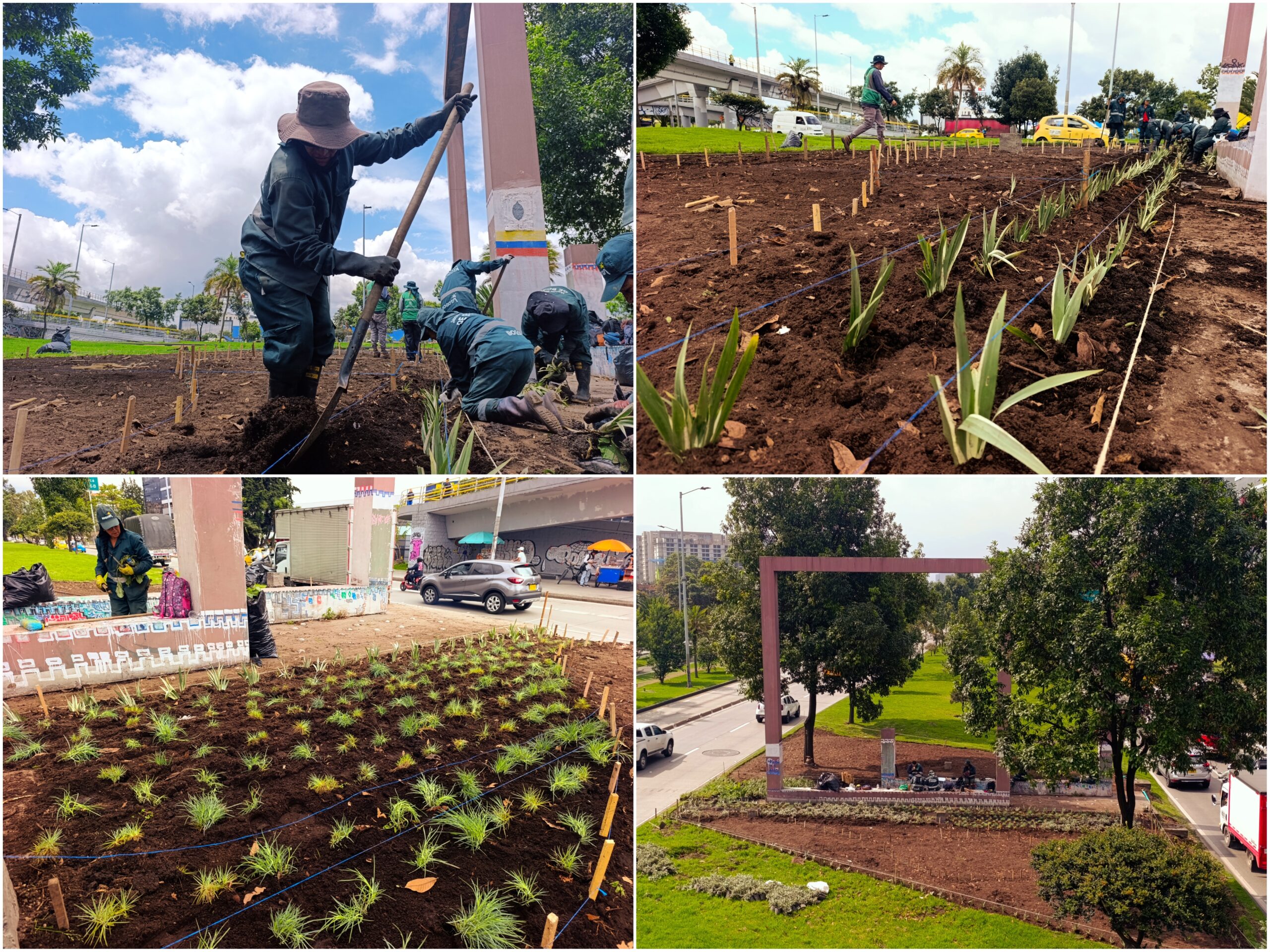 Historias del verde urbano: ¡La “Ventana a Bogotá” renovó sus jardines!