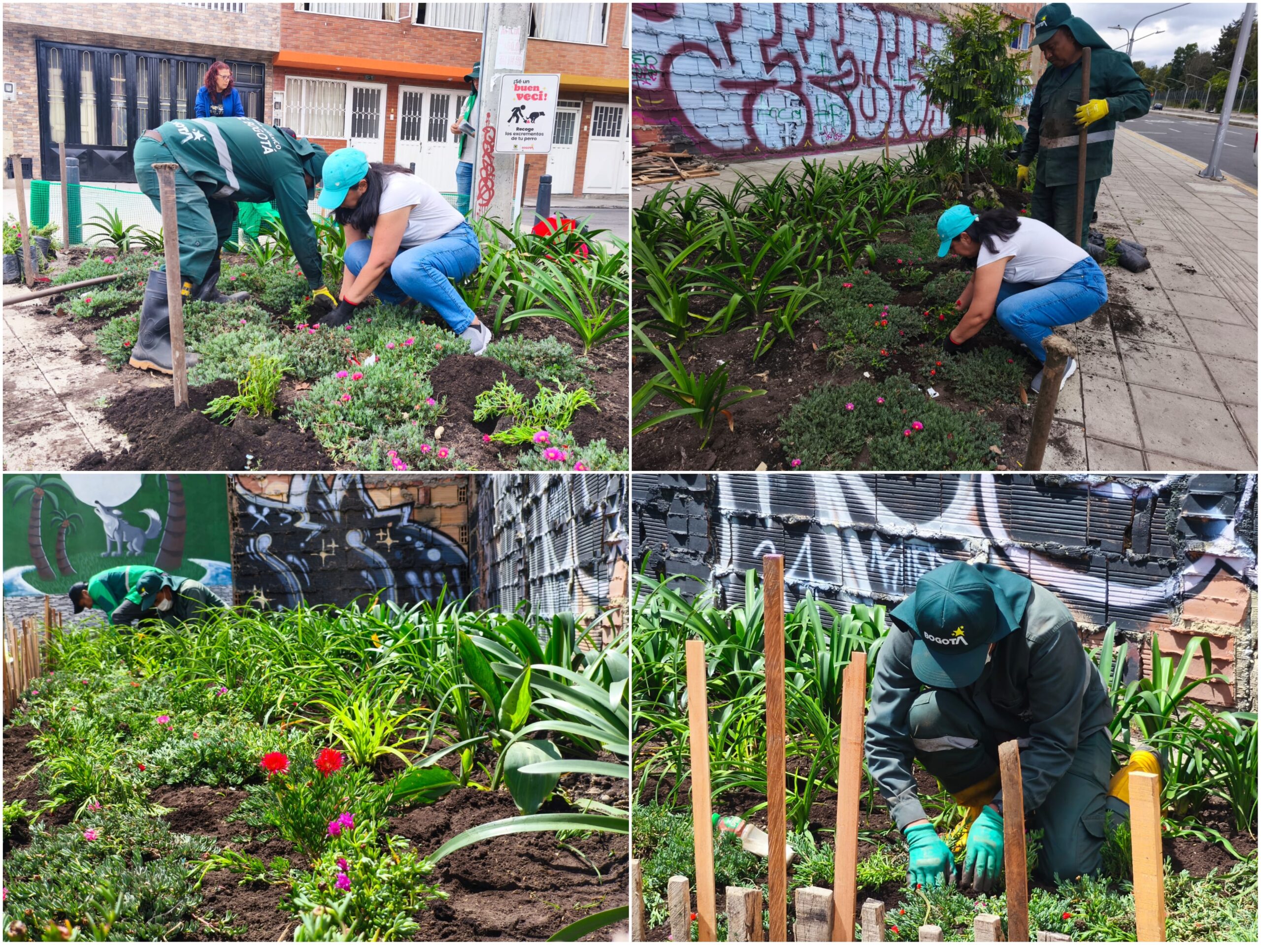 Historias del verde urbano: Las madrinas y padrinos de las nuevas jardineras de la avenida Mutis