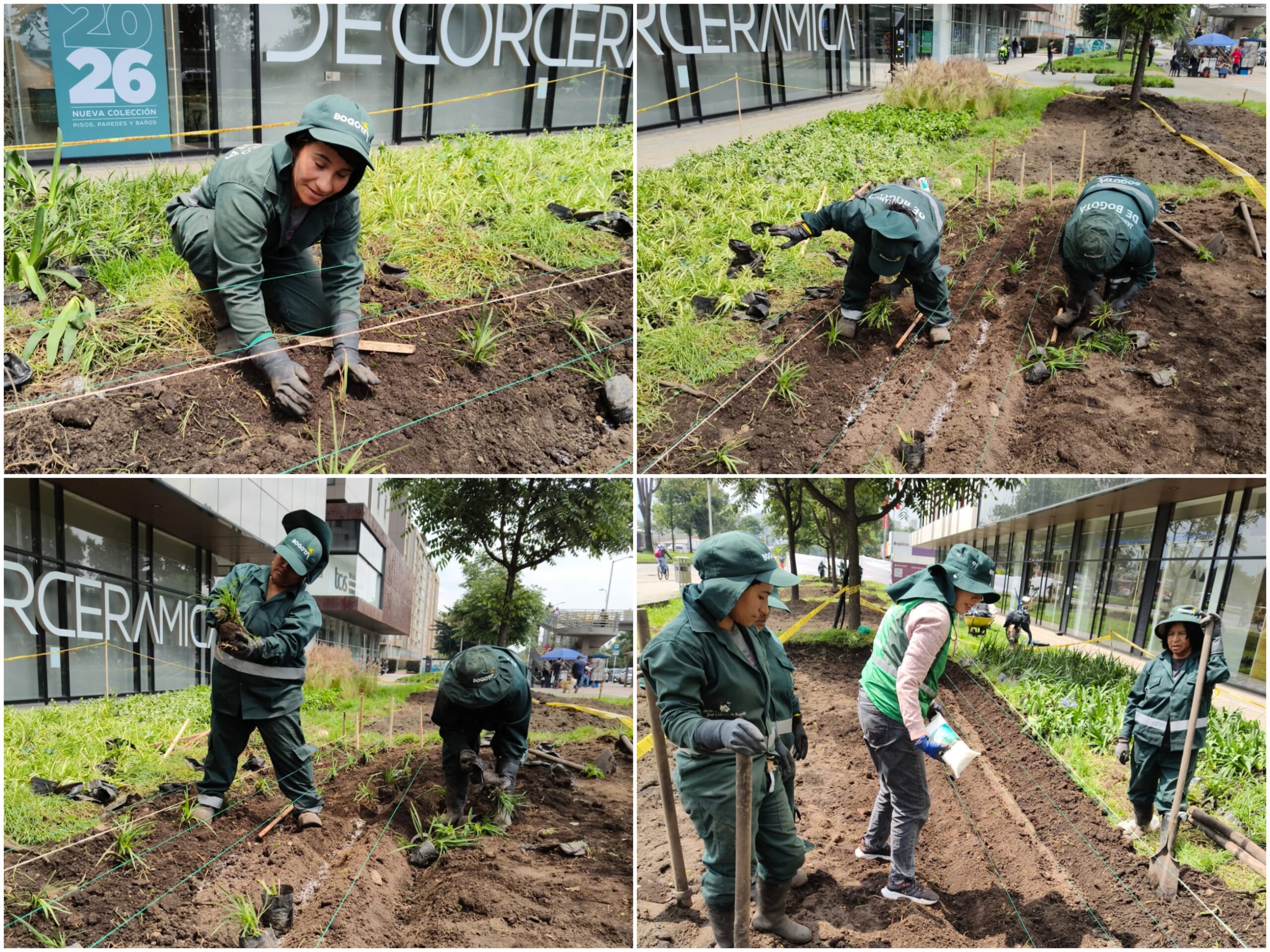 Historias del verde urbano: El nuevo jardín en forma de río del barrio Modelia