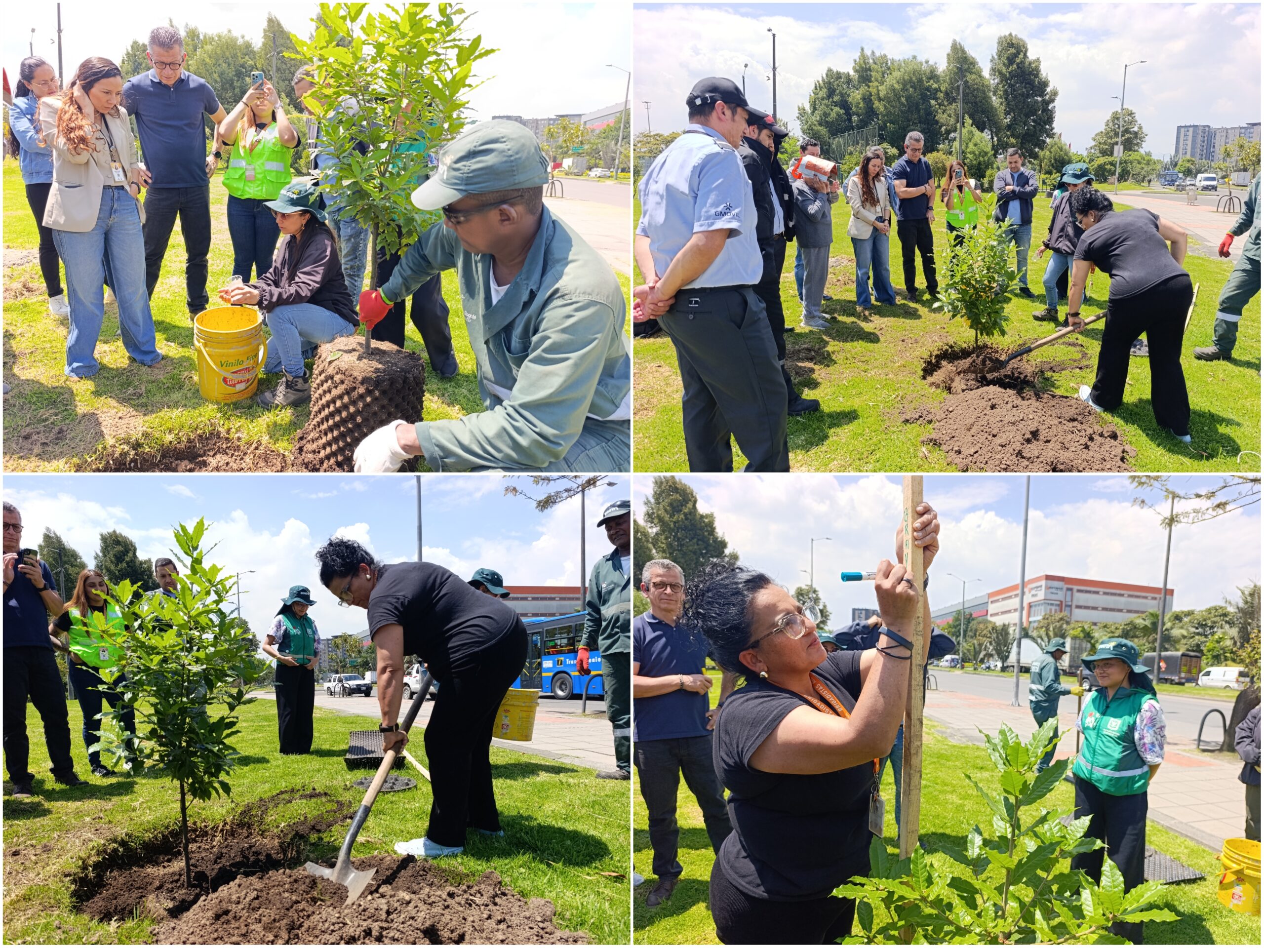 Historias del verde urbano: El vecino del humedal Capellanía recibió 26 árboles y arbustos