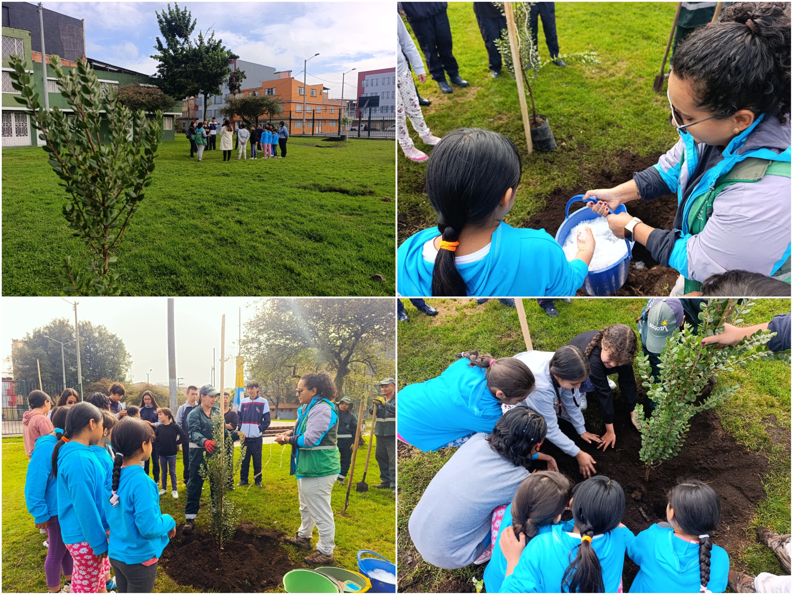 Historias del verde urbano: Los ‘escuderitos’ del arbolado de Santa María del Lago